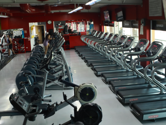 cardio